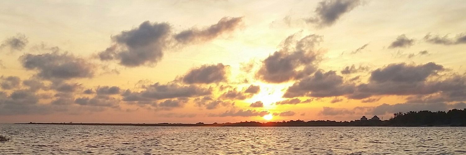 B_Royle's profile banner image