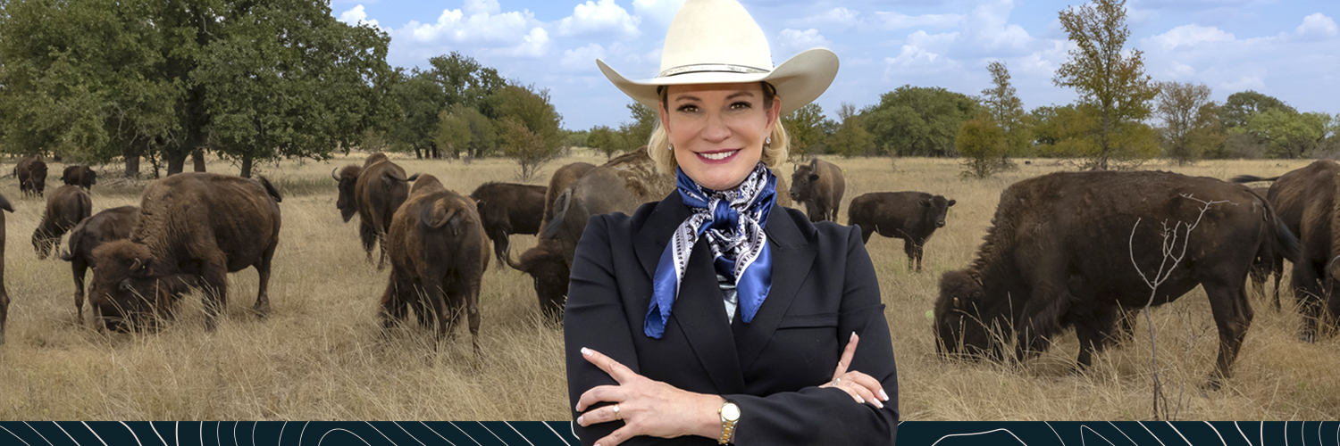 Texas General Land Office banner