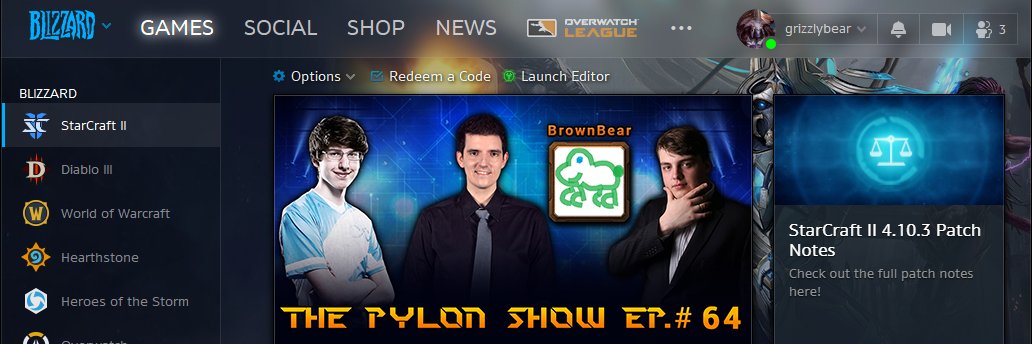 brownbear banner
