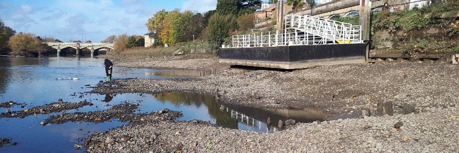 William Rathouse banner