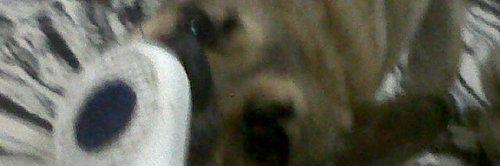 LuLu_iaz's profile banner image