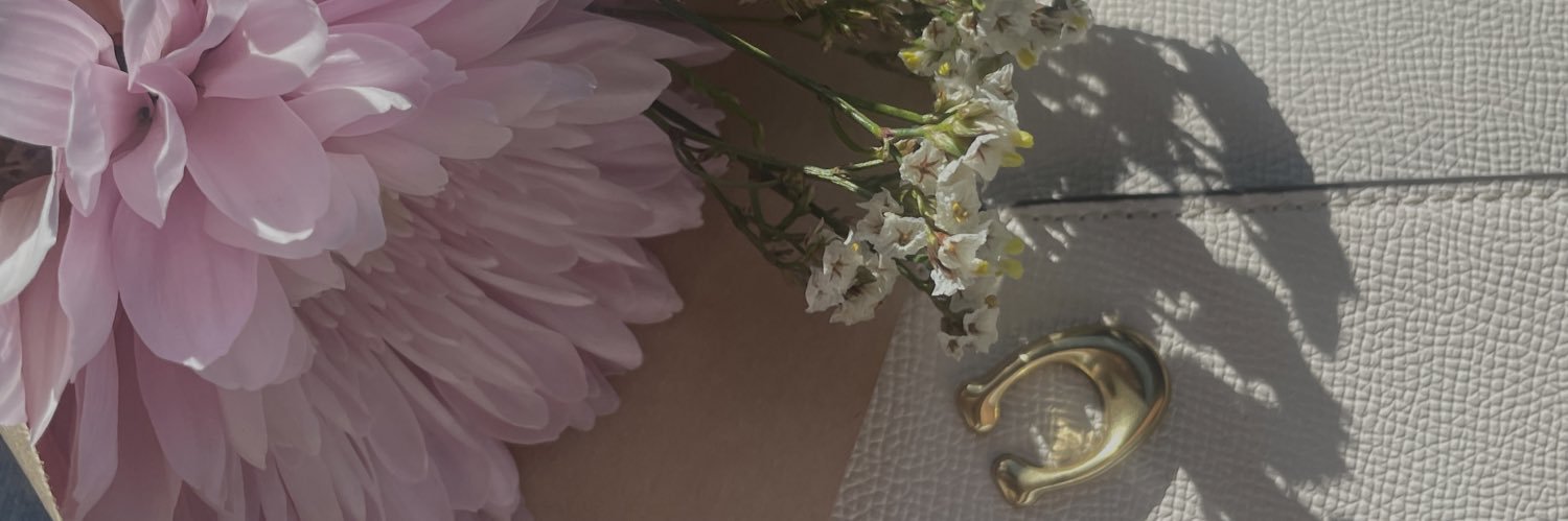 prisciveva's profile banner image