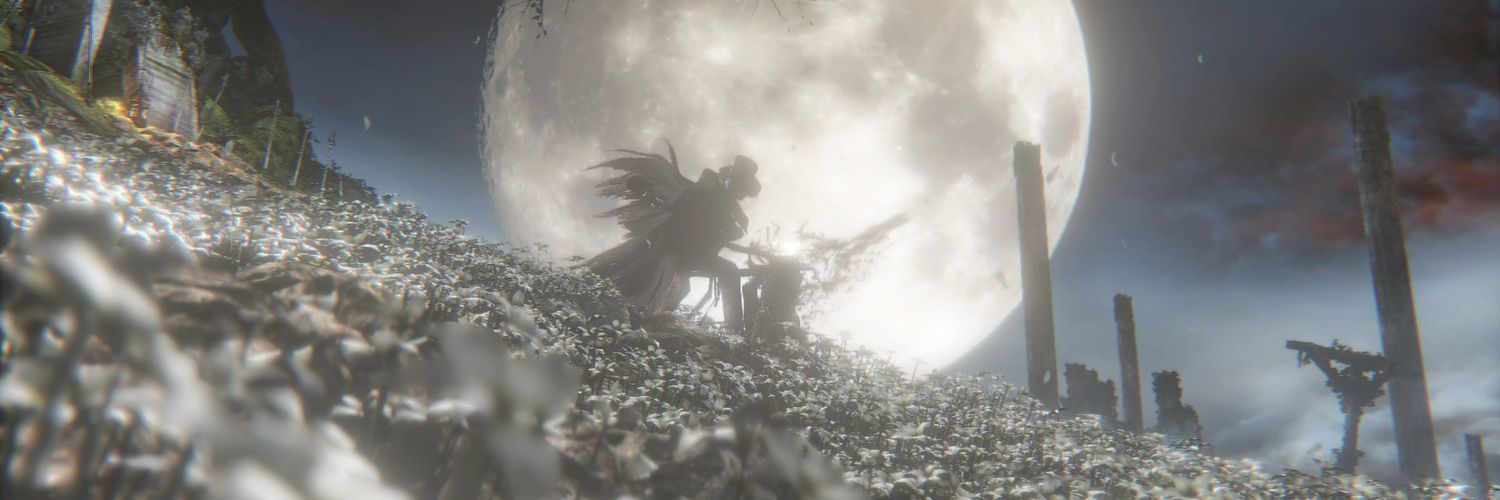 sunrise zyns banner