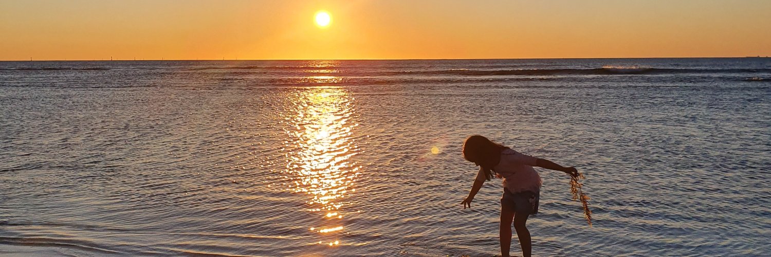 eliseSalexander's profile banner image