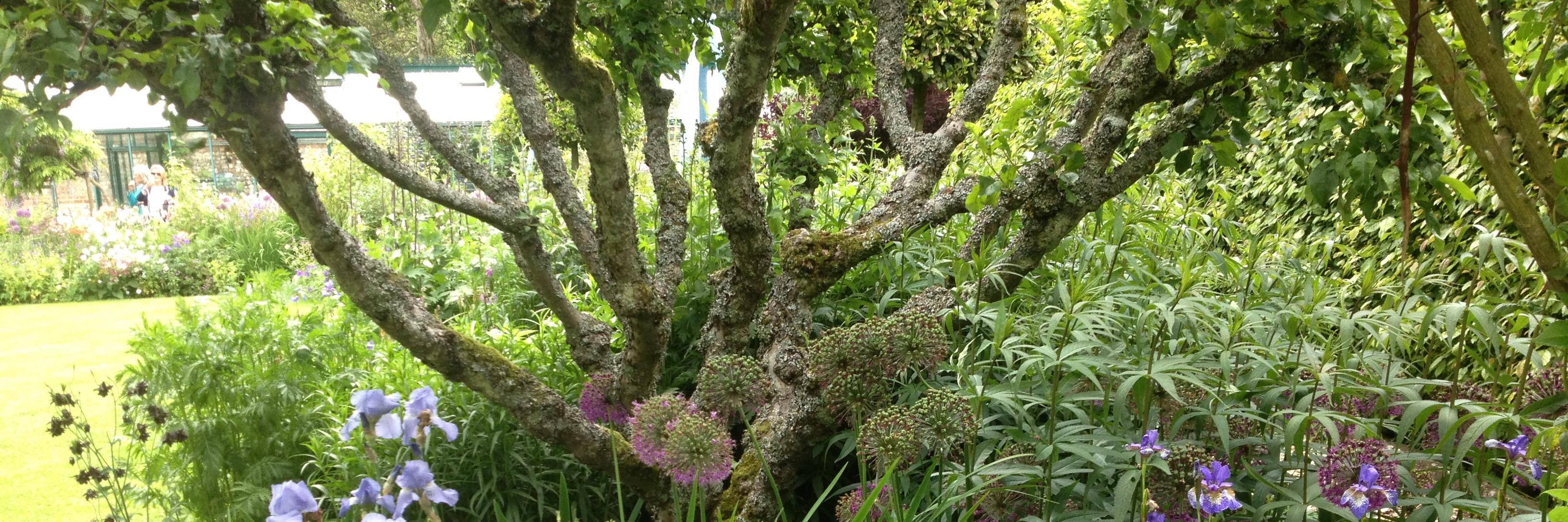 Berry Landscapes Ltd banner