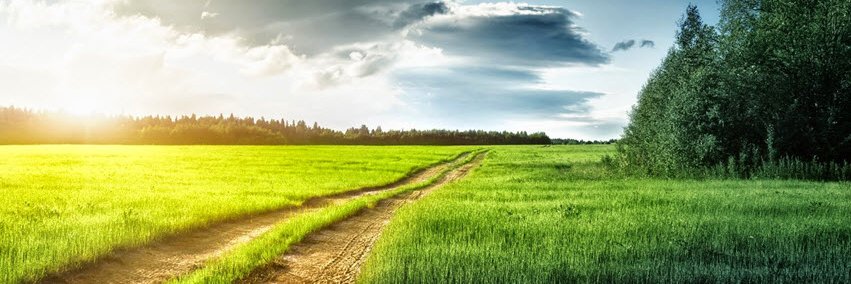 henrikeofera's profile banner image