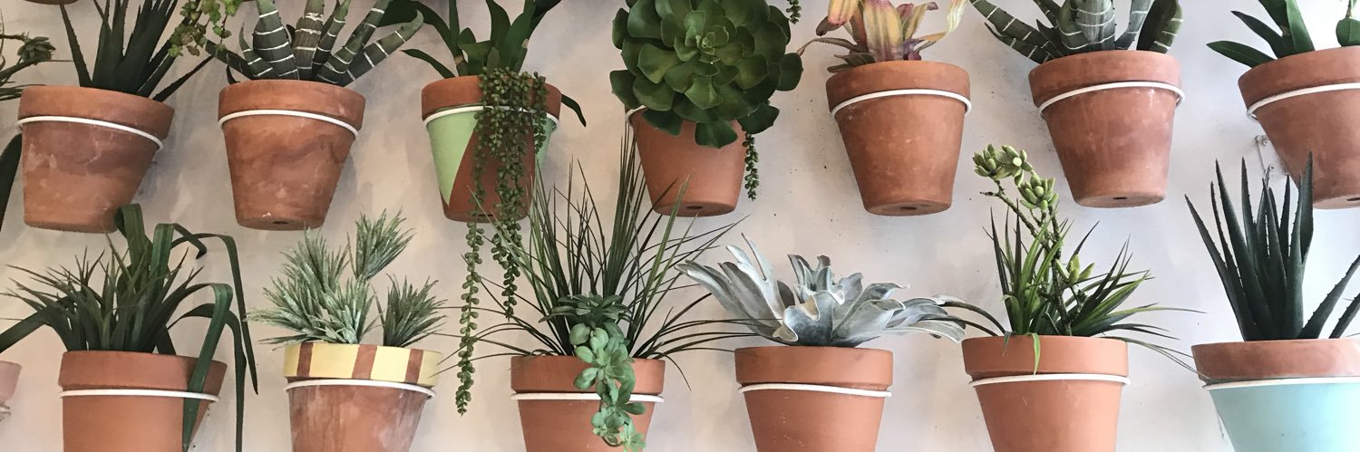 RachelFaithWest's profile banner image