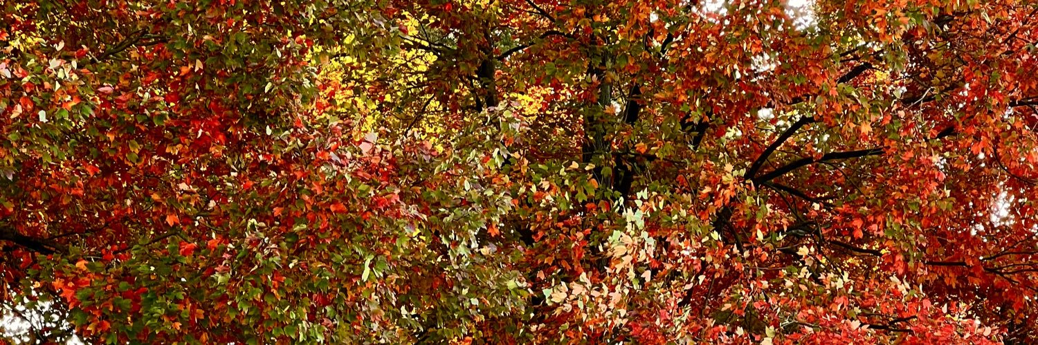 tmgebert's profile banner image