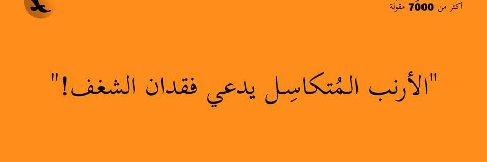 mido0z_36's profile banner image