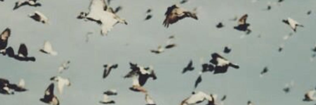 cridd_r's profile banner image