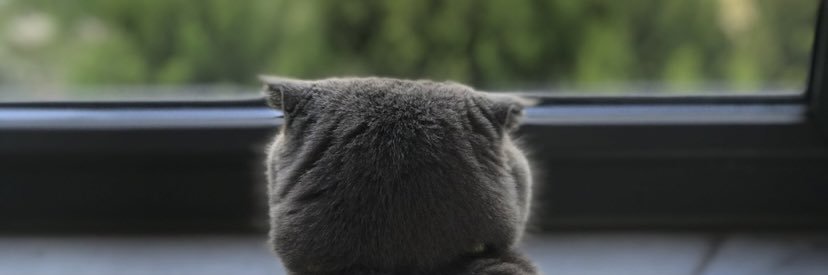 bercemdincoglu's profile banner image