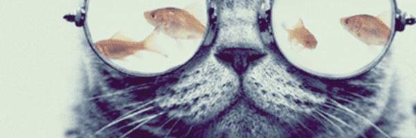 Bizzybeatz's profile banner image