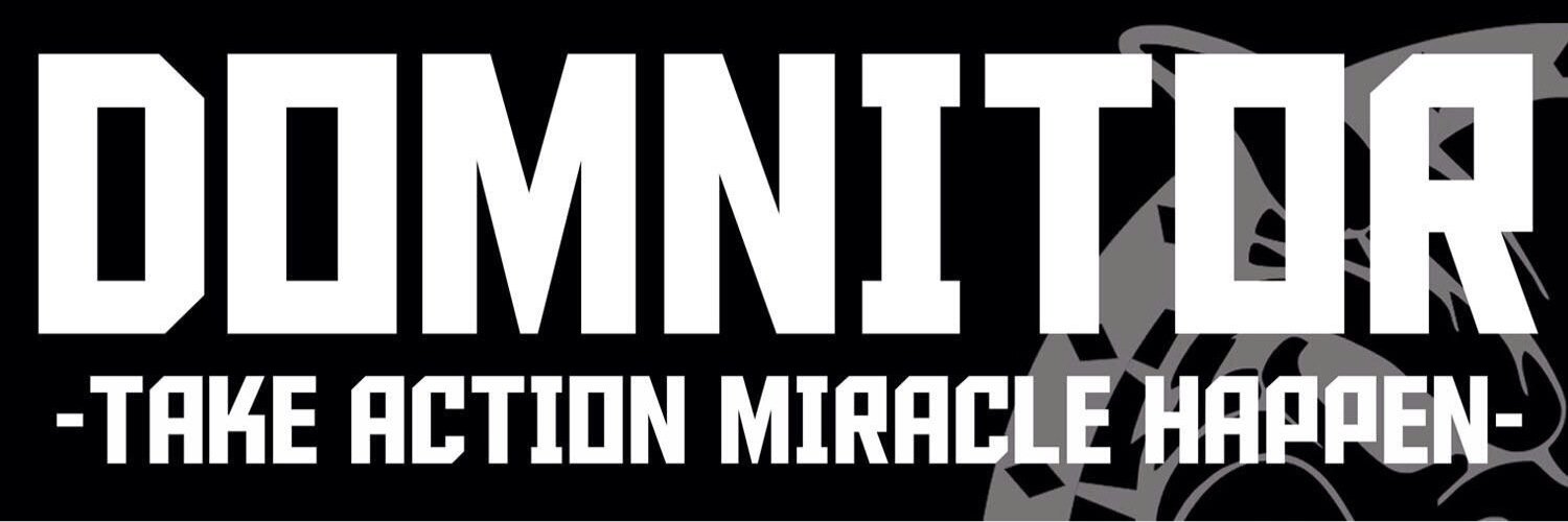 Domnitor Store banner