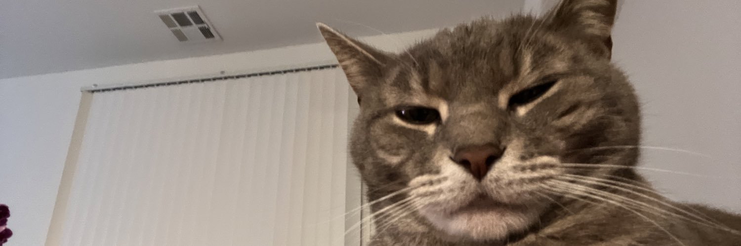 annjjeee's profile banner image