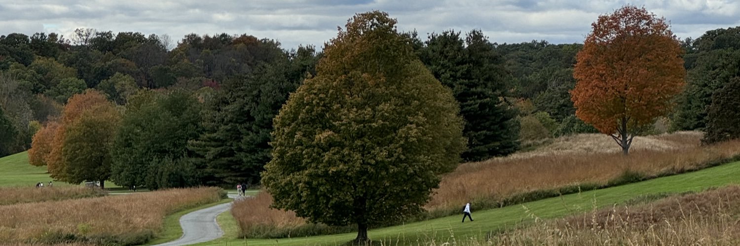 fattygotback's profile banner image