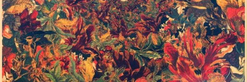 balaclava_'s profile banner image