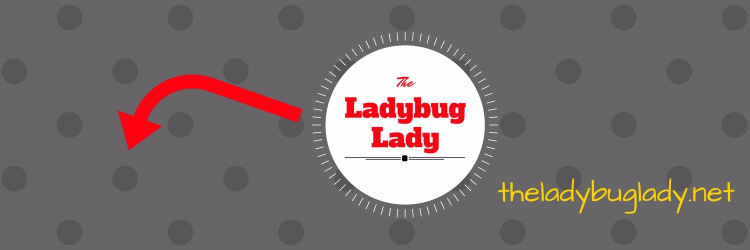 theladybuglady's profile banner image