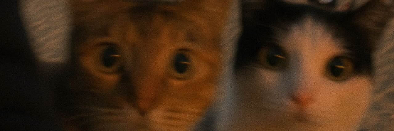 hrustovskii's profile banner image