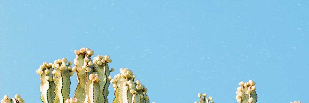 🐣🐣🐣 banner