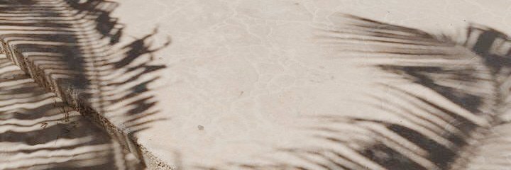 nicolebaate's profile banner image