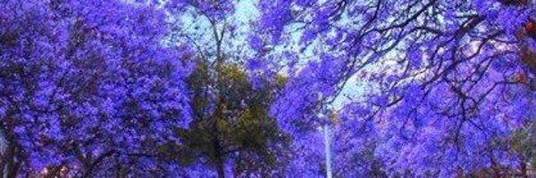 جبر ثابت banner