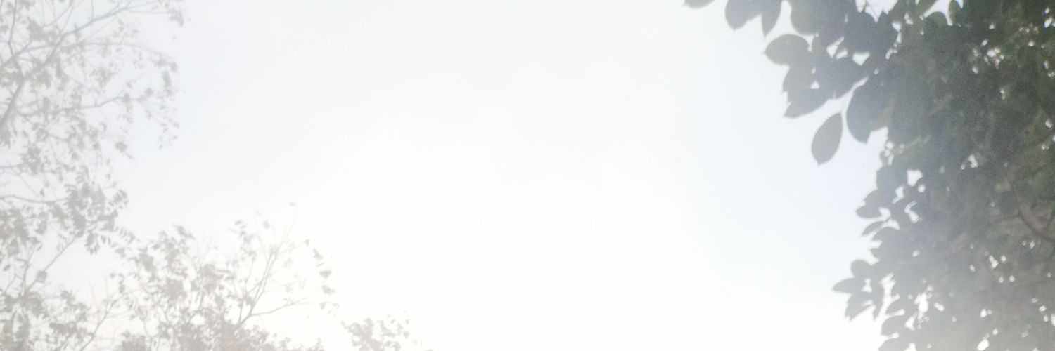 AlejandroSoto_'s profile banner image