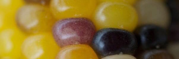 SteveColley1's profile banner image