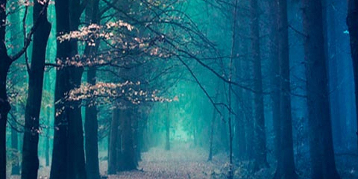 Kamilo_Pinilla's profile banner image