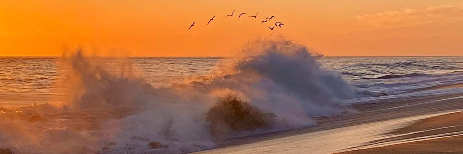 The Wallendorf Collection, Fine Properties banner