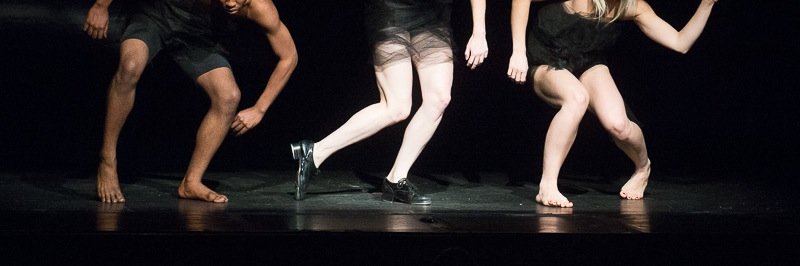 michelle dorrance banner