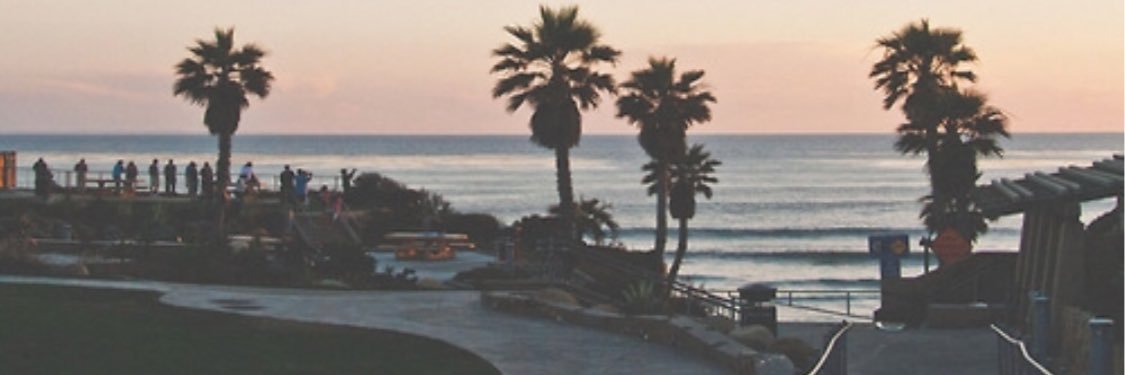 rrachelrose's profile banner image