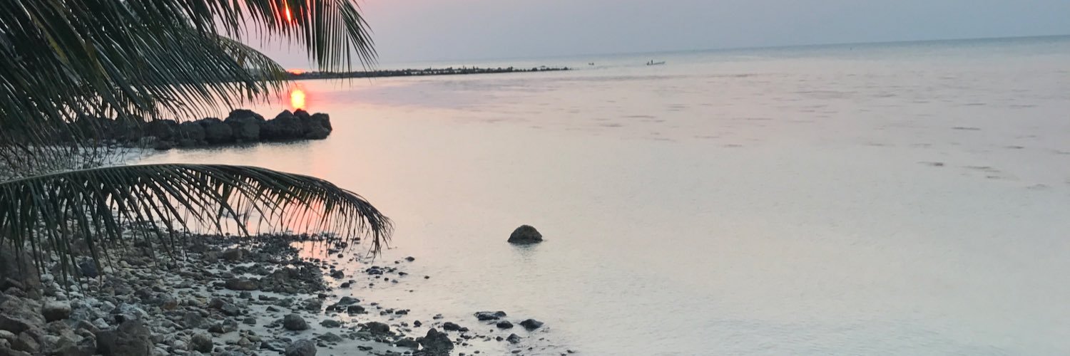 xtinnna's profile banner image