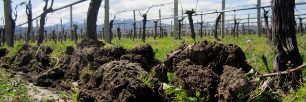 OWNZwine Profile Banner