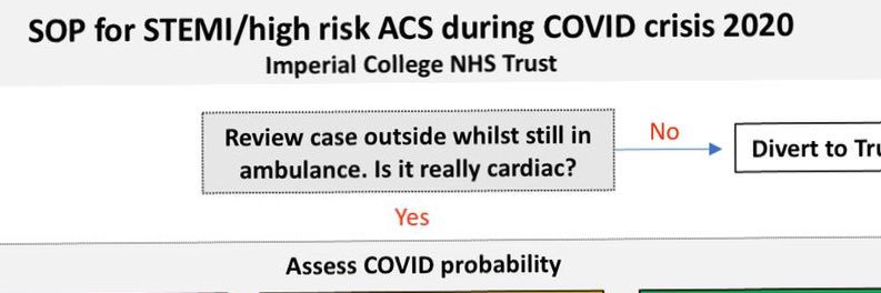 Ghada Mikhail banner