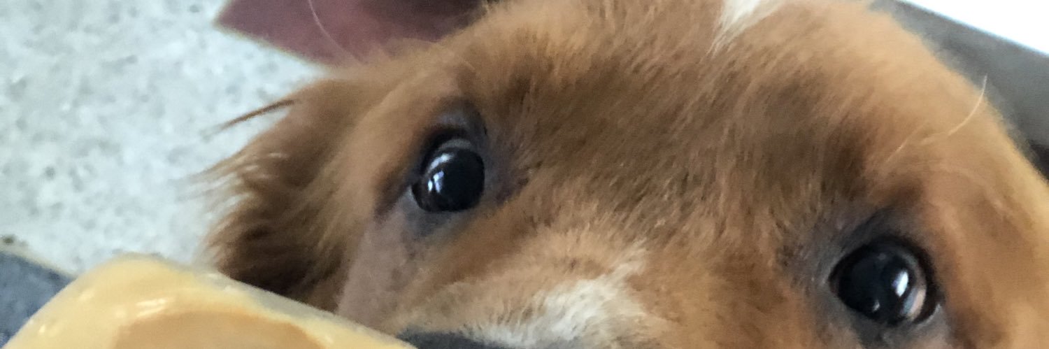 Danitag_'s profile banner image
