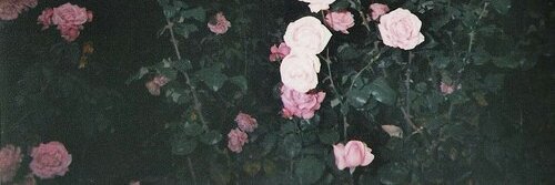 EsthherSouzza's profile banner image