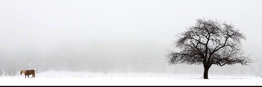 blckcntry's profile banner image