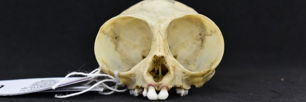 s_garcia93 Profile Banner