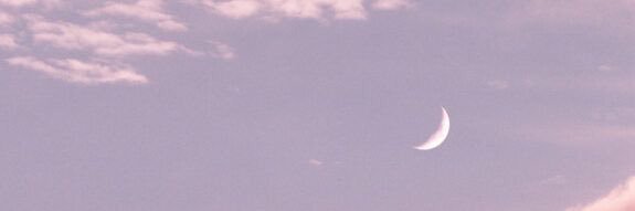 BjDonut's profile banner image