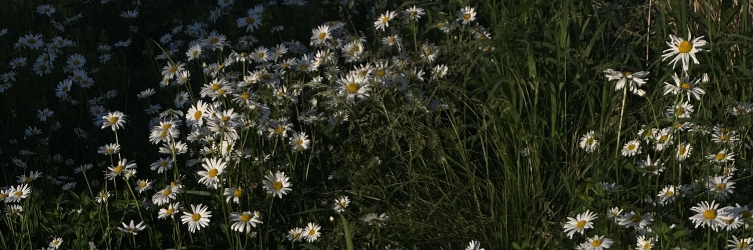 Tony_Starshine's profile banner image