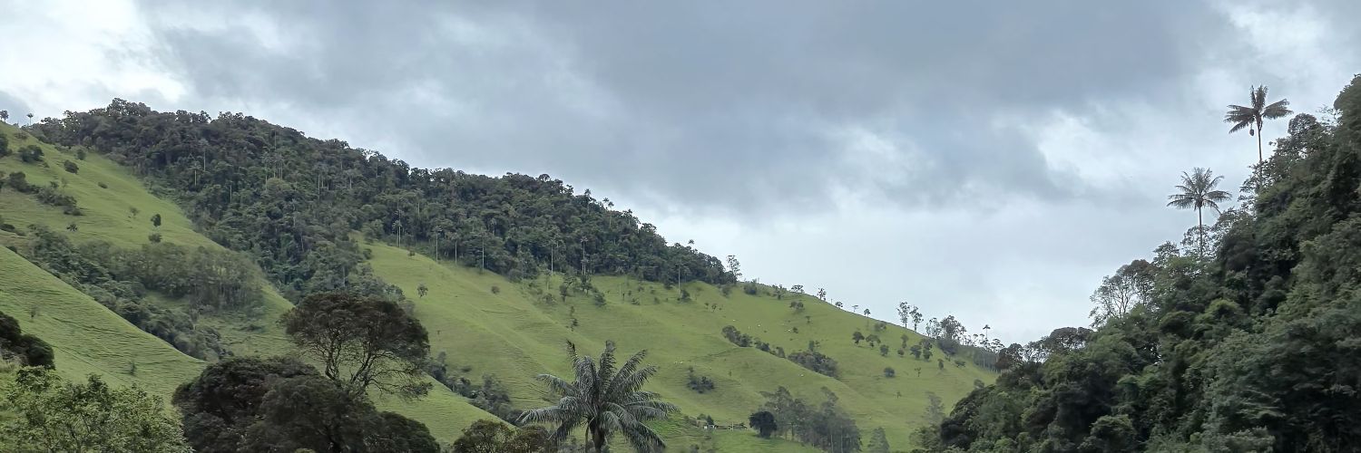 Diserr_'s profile banner image