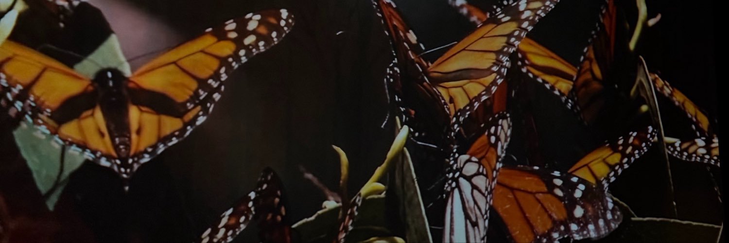 karinamescudi's profile banner image