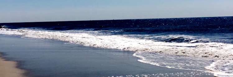 Caroline1622_'s profile banner image