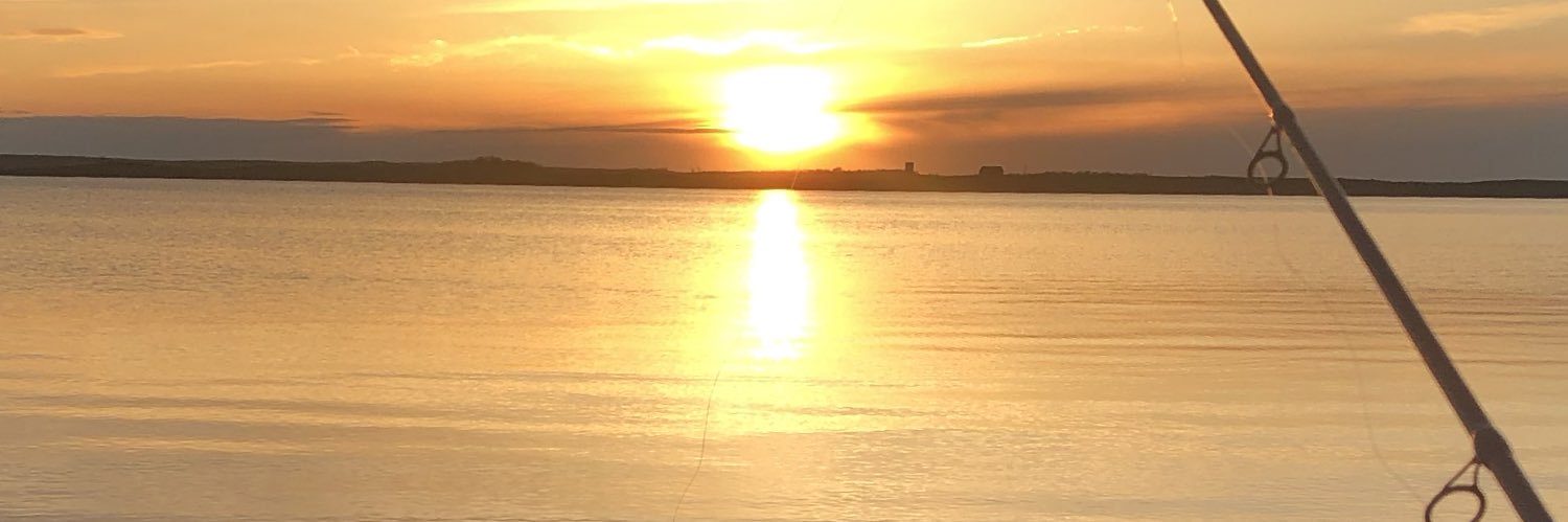 tedlicious22's profile banner image