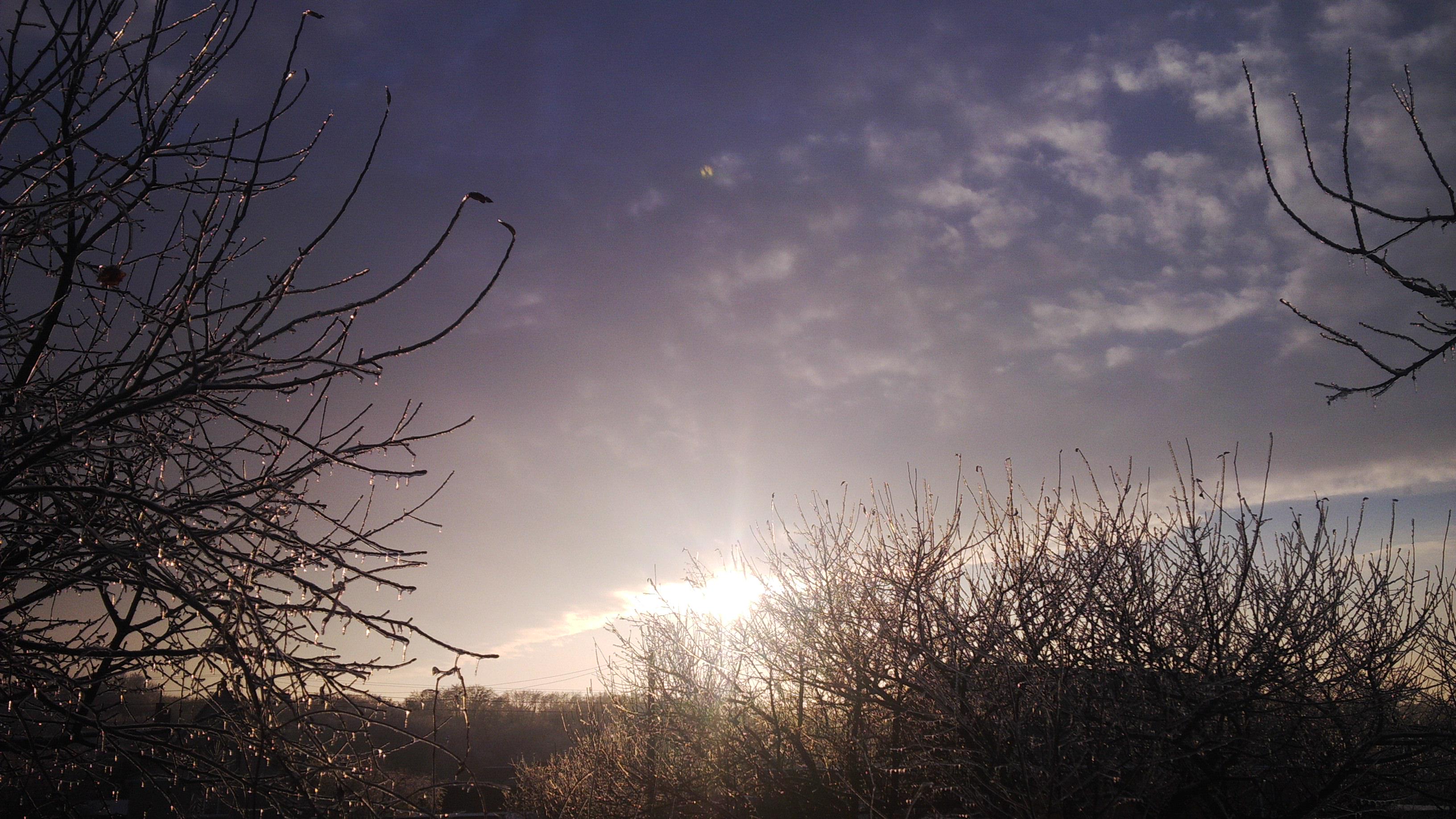 Oleksii Khranovskyi banner