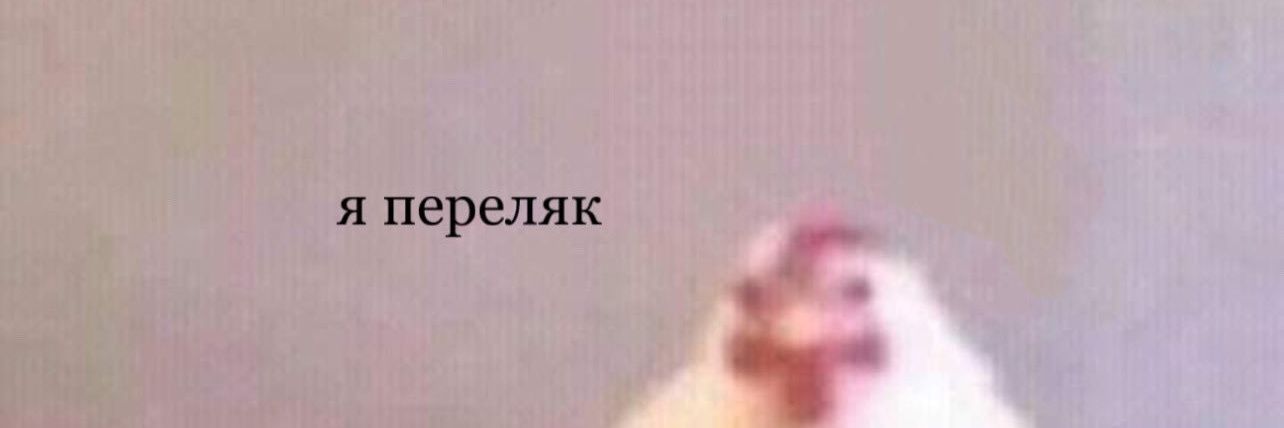 BrineBear's profile banner image