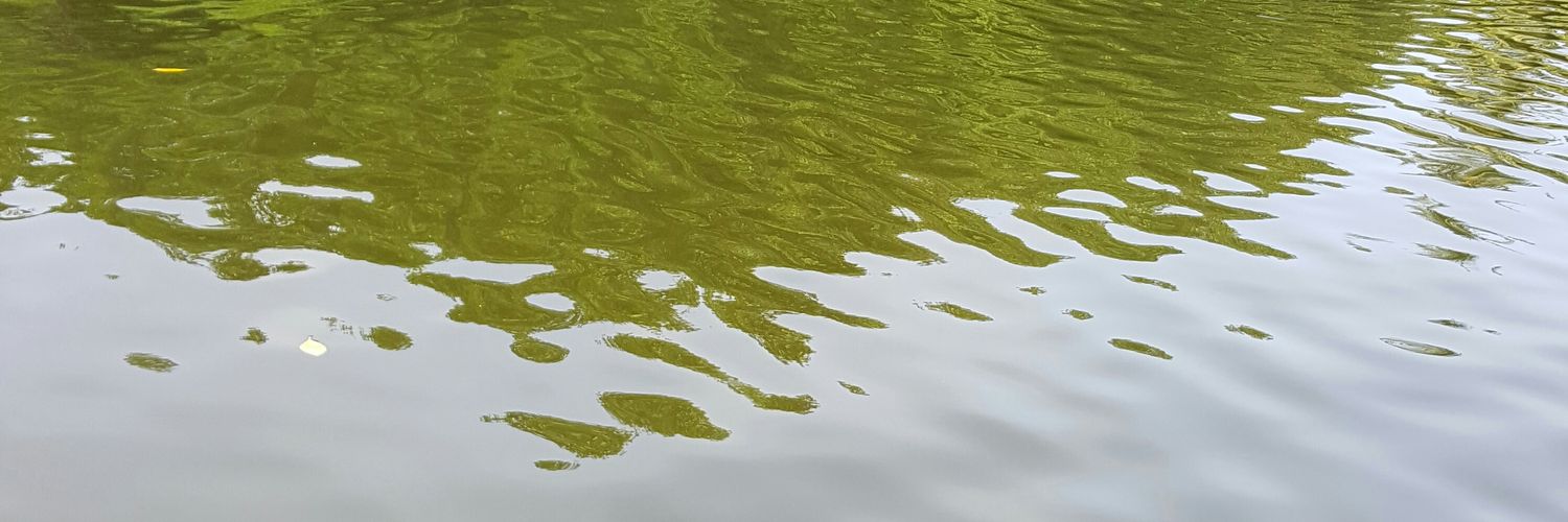 عبدالله السناني banner