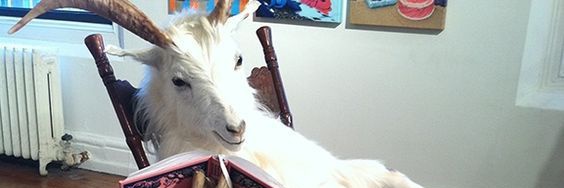 smokinashell's profile banner image