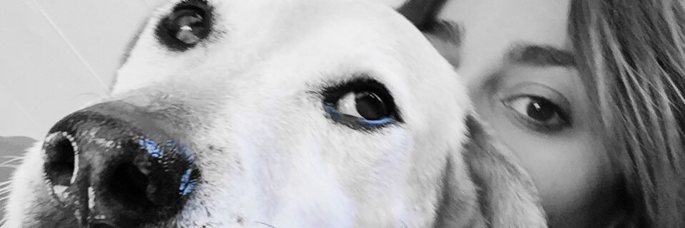 YaniDosso's profile banner image