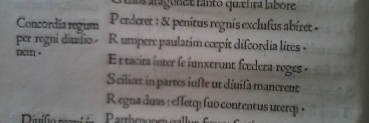prof_cappelli's profile banner image